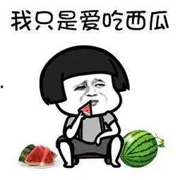 娱乐瓜都是在哪里吃的,明星们的“娱乐瓜”聚集地大揭秘